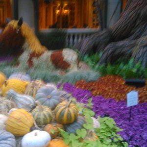 Meet your Posher, Sharon